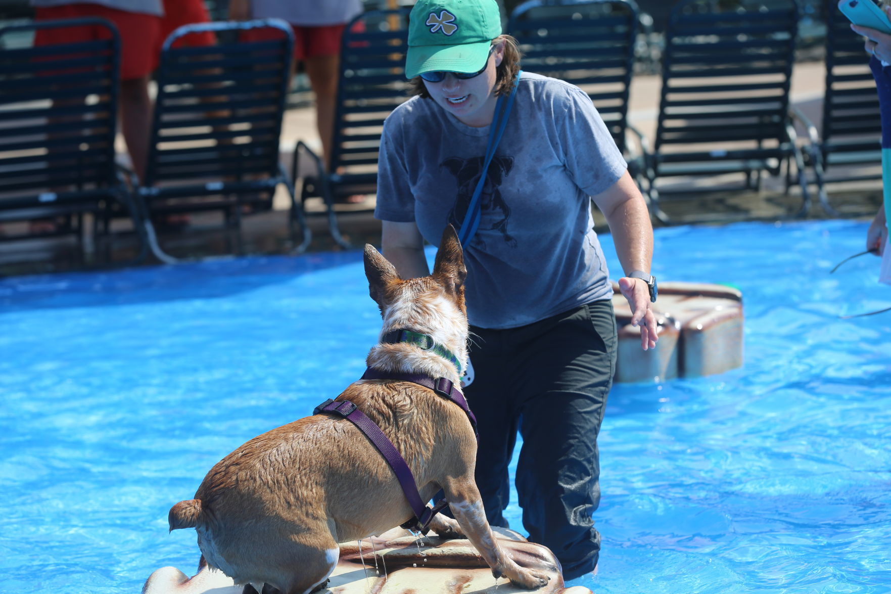 090919_gal_WWdogs (30)